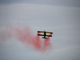 rodenberg2025 45